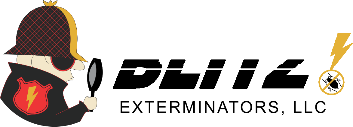 inspector-blitz-logo-2